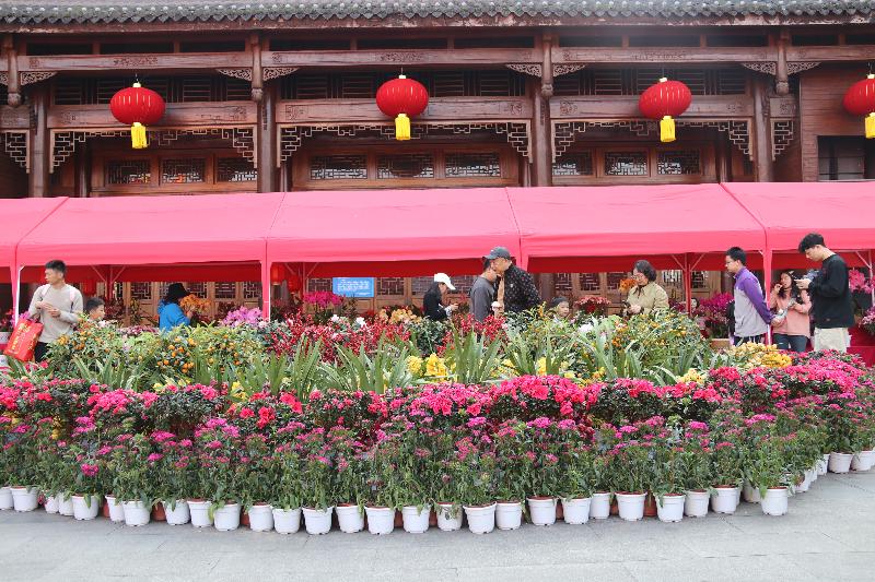 重庆园博园举办“马踏春风·年韵悠长” 年宵花展及科普宣传活动