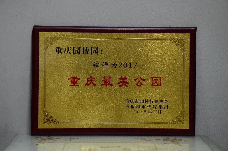 最美公园