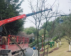 微信图片_20210126155316