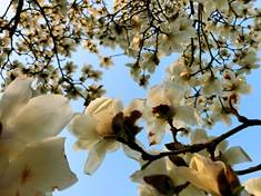 a625c17b13194d0ae90bb8298629329