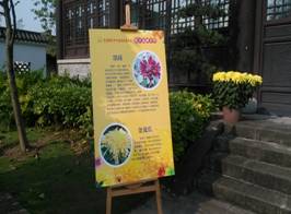IMG_20151022_093928