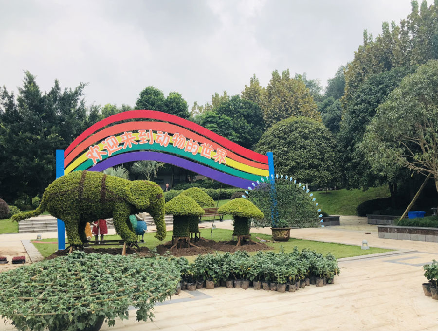QQ截图20181017163130.png