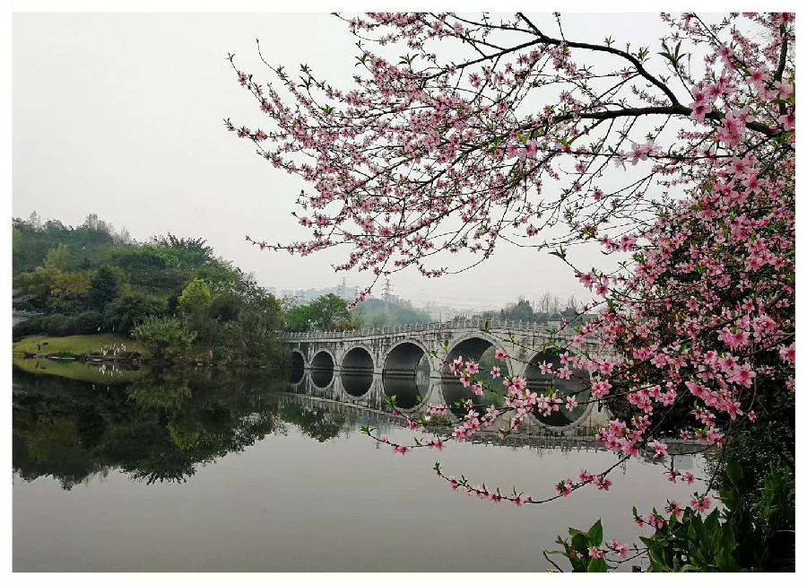 桃花