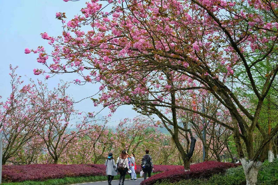 微信图片_20200324151754.jpg