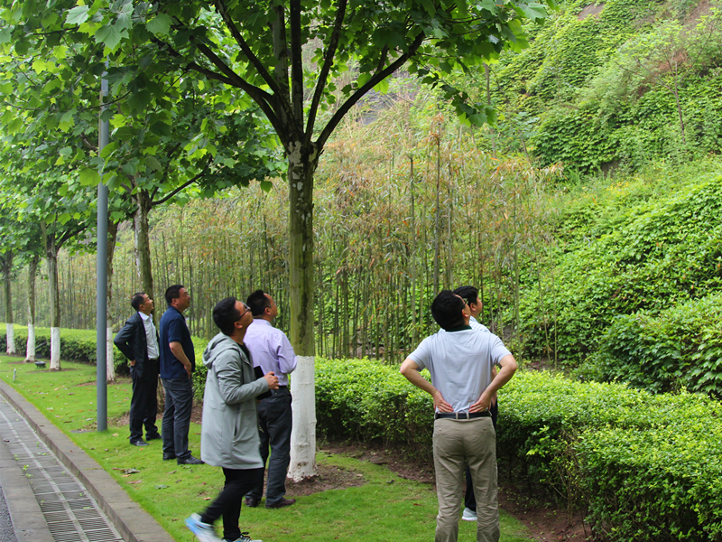 img_4150_副本.jpg
