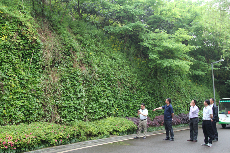 img_4155_副本.jpg