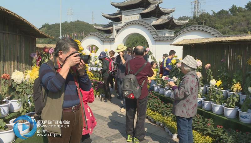 微信图片_20181105171914.jpg