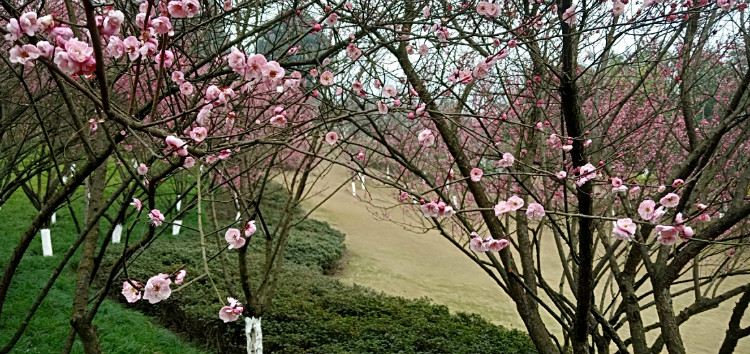 微信图片_20190131101211.jpg
