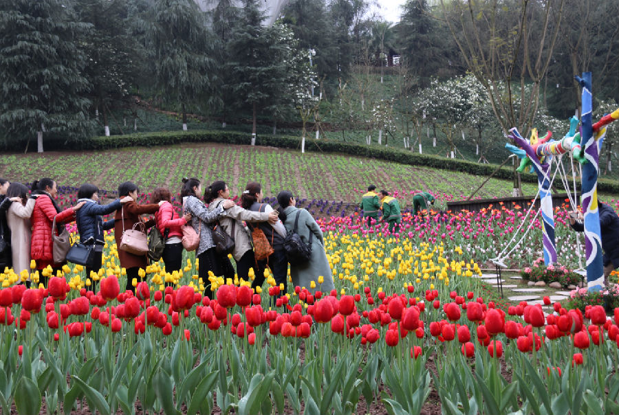 QQ截图20190308130513.png