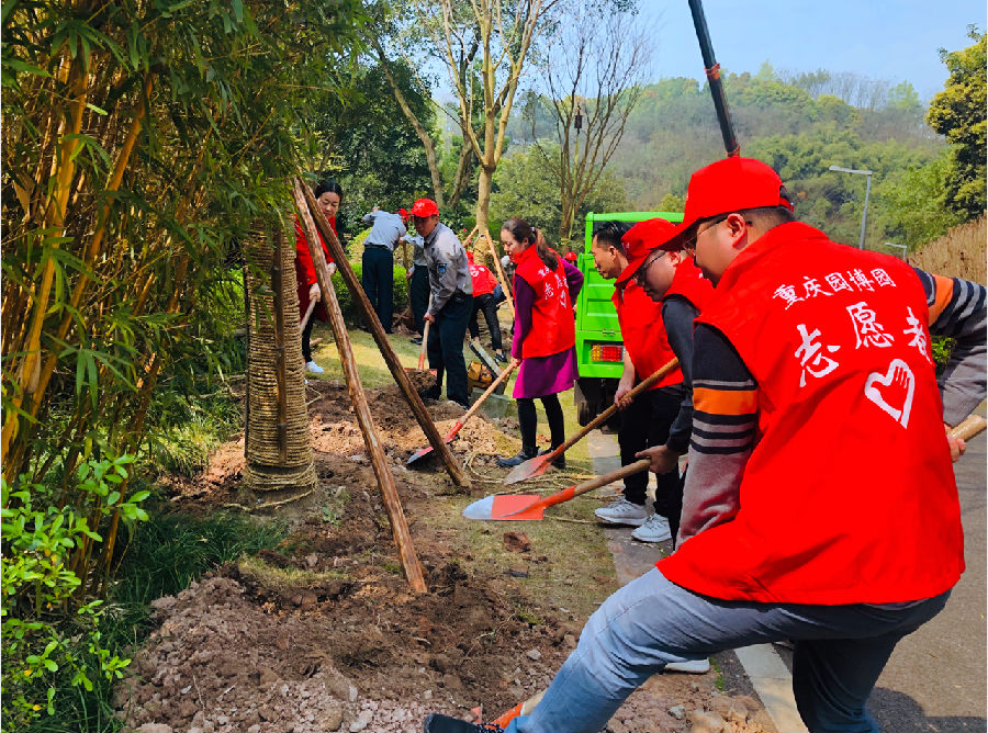 QQ截图20190322092847.png