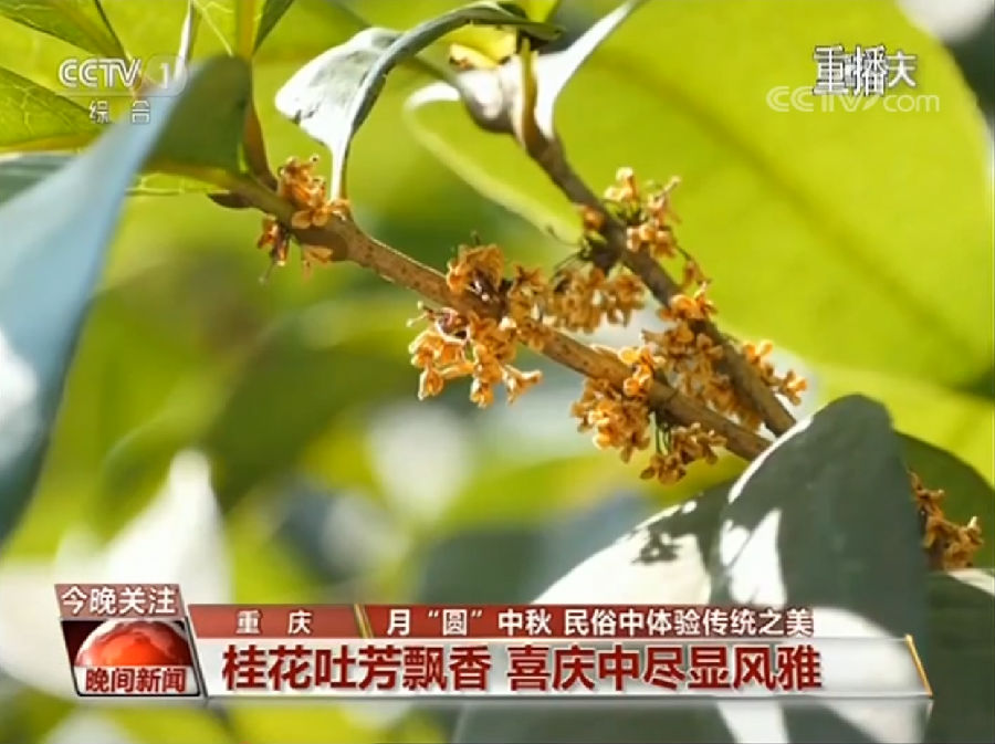 QQ截图20190914115311.png