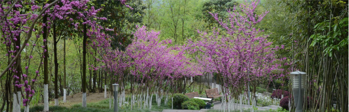 微信图片_20200228101341.png