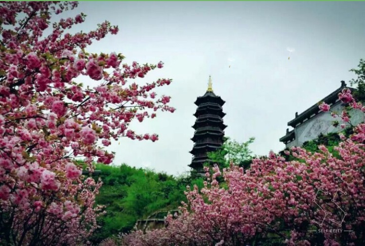 微信图片_20200228101359.png