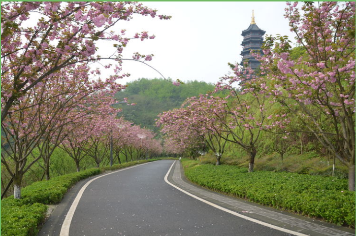 微信图片_20200228101352.png