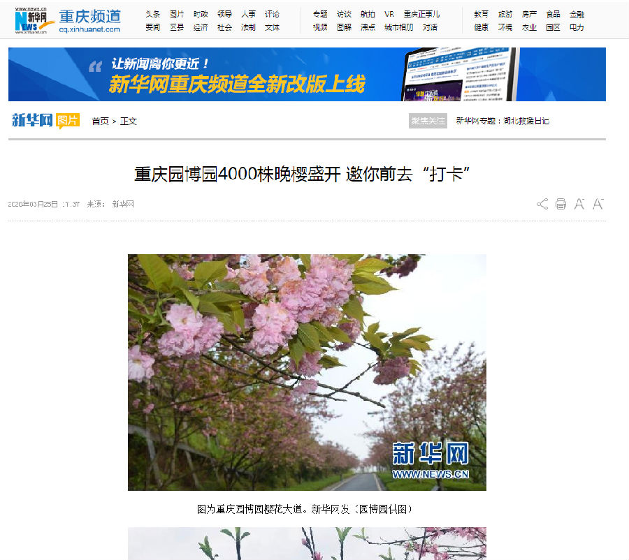 新华网.jpg