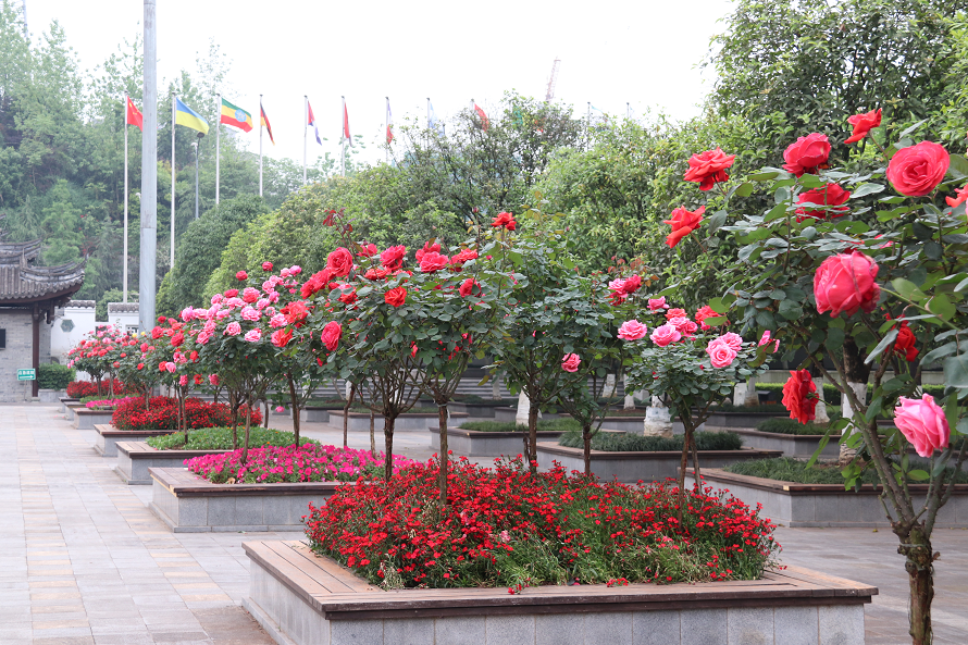 微信图片_20200419094156.png