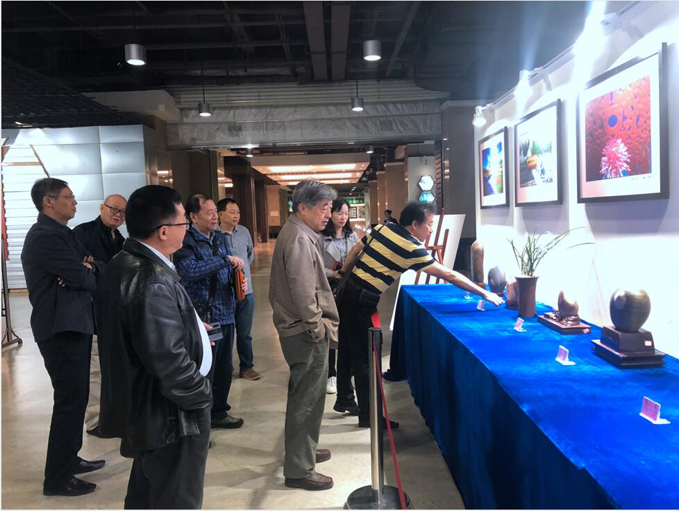 QQ截图20191023110015.jpg